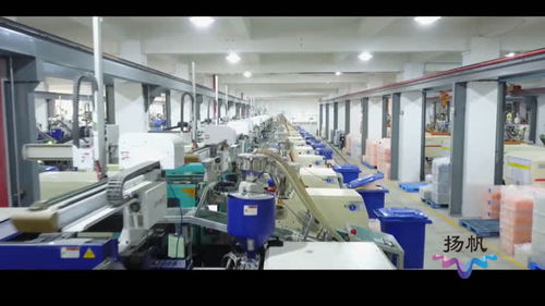 生態(tài)科技新城 組建專班精準(zhǔn)服務(wù)，扶持企業(yè)做大做強(qiáng)信息技術(shù)咨詢服務(wù)